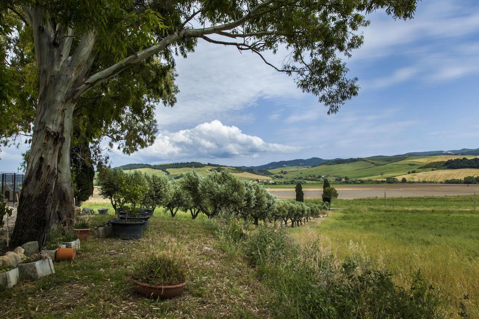 Locanda Villa Naumanni Tarquinia Bagian luar foto